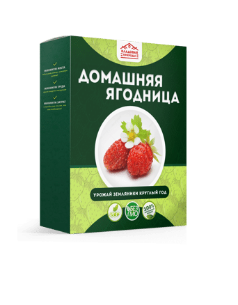 Домашняя ягодница Домашние грядки Земляника