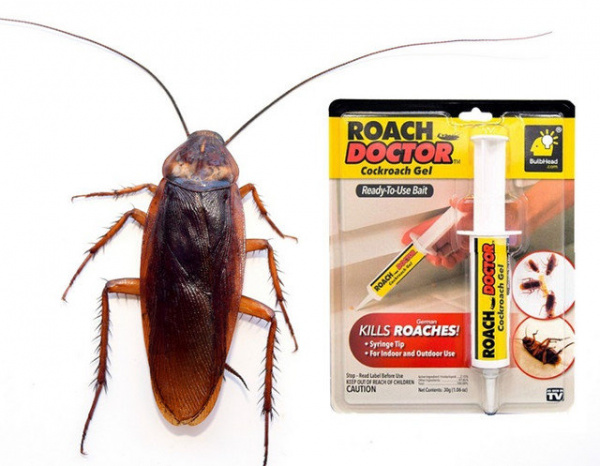 Гель от насекомых и паразитов Roach Doctor Cockroach Gel