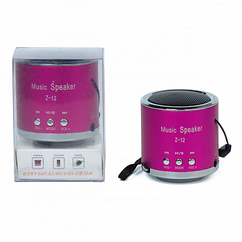 Портативная колонка Music Speaker Z-12