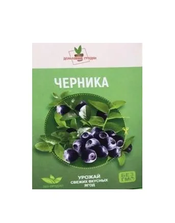 Домашняя ягодница Домашние грядки Черника